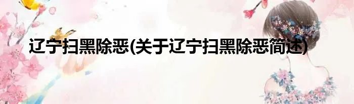 辽宁扫黑除恶(关于辽宁扫黑除恶简述)