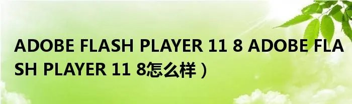 ADOBE FLASH PLAYER 11 8 ADOBE FLASH PLAYER 11 8怎么样）