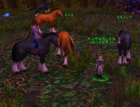 赞达拉战斗斥候坐骑掉率（有坐骑的声望势力的整理贴）