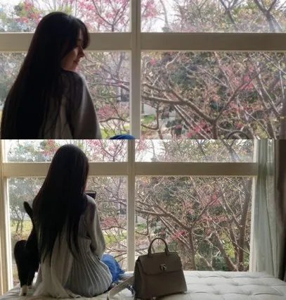 郭碧婷抱猫咪赏樱显惬意 长发及腰背影背影诱人