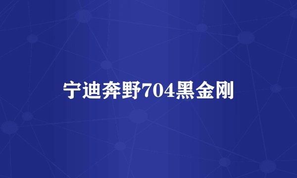 宁迪奔野704黑金刚