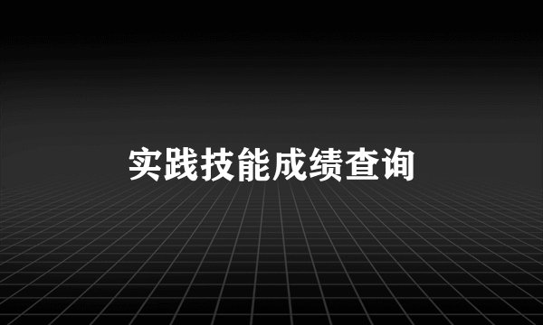实践技能成绩查询