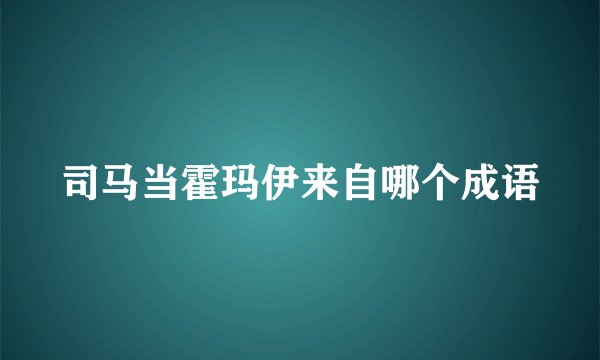 司马当霍玛伊来自哪个成语