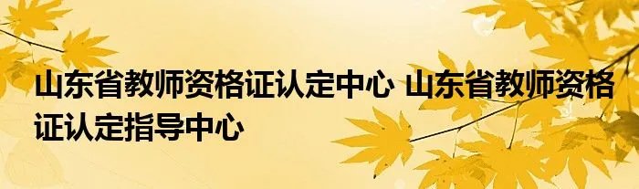 山东省教师资格证认定中心 山东省教师资格证认定指导中心