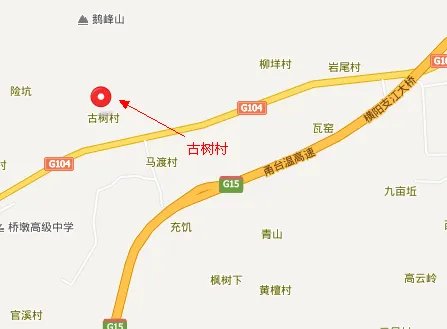 想知道: 浙江省 瑞安古树村 在哪