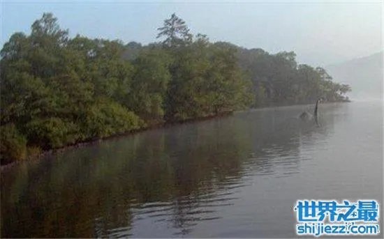 温德米尔湖水怪事件，不少人猜测只是普通的大型鱼类 