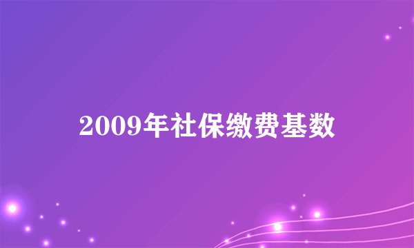 2009年社保缴费基数