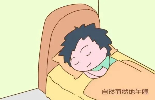 世界上公认最健康的作息时间表？