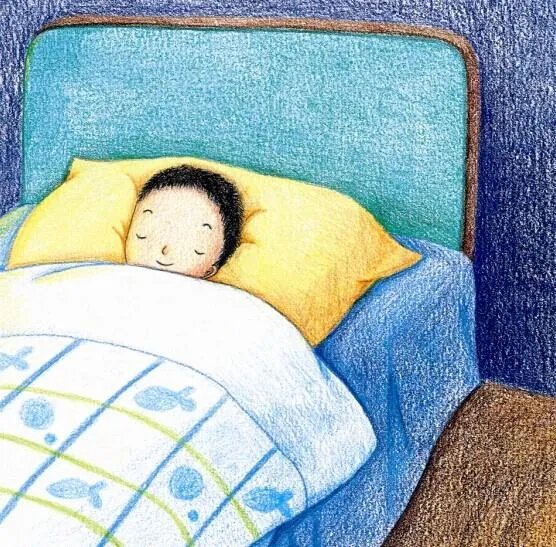 世界上公认最健康的作息时间表？