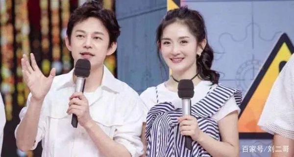 获得金鹰主持人奖，除了董卿和何炅还有谁？