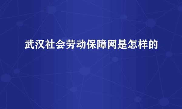 武汉社会劳动保障网是怎样的