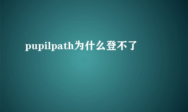 pupilpath为什么登不了