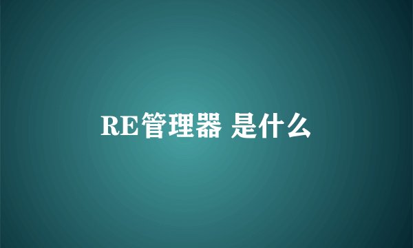 RE管理器 是什么