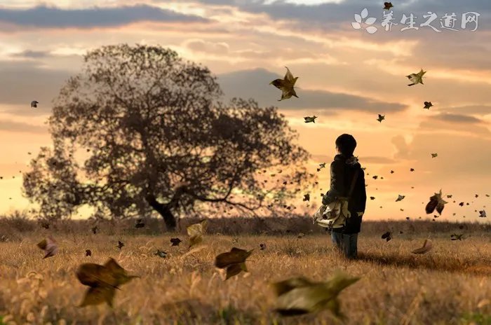 婺源茗眉茶的功效