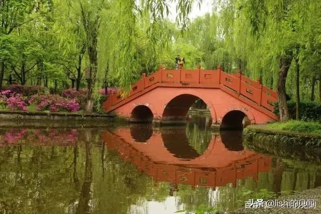 你觉得现在的综艺节目最大的看点在哪里?