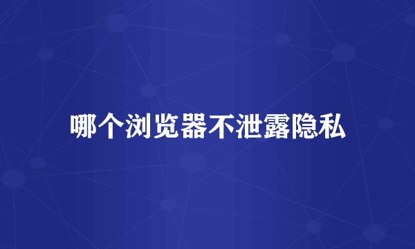 哪个浏览器不泄露隐私