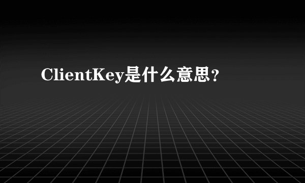 ClientKey是什么意思？