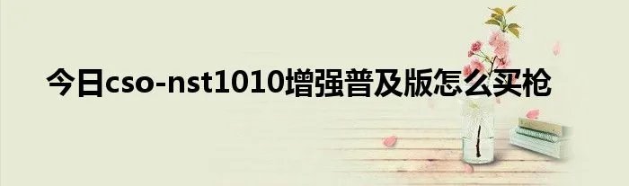今日cso-nst1010增强普及版怎么买枪