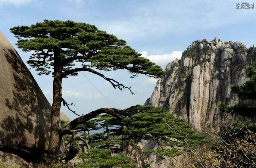 黄山门票有没有优惠 黄山门票多少钱？