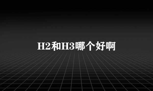 H2和H3哪个好啊