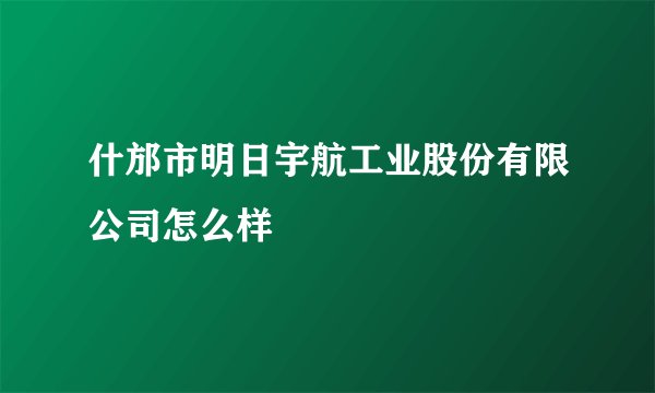 什邡市明日宇航工业股份有限公司怎么样