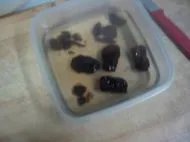 红枣姜汤的做法