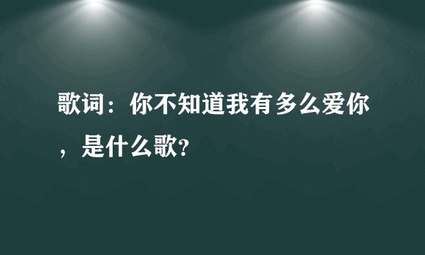 歌词：你不知道我有多么爱你，是什么歌？