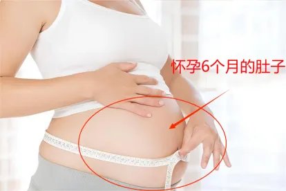 怀孕6个月的肚子图片