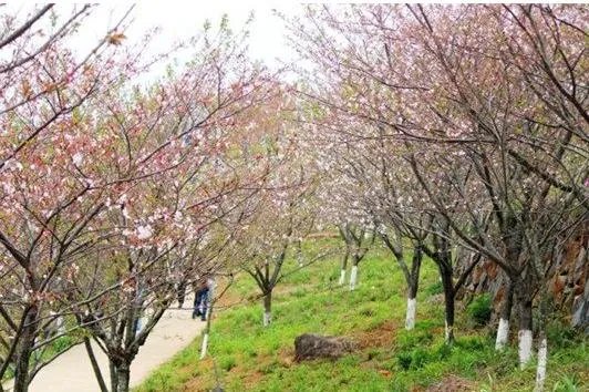 泉州南安香草世界有什么好玩的？