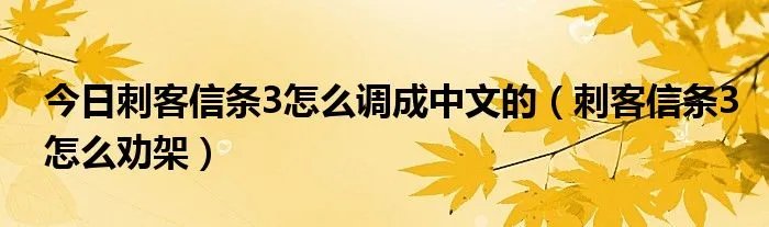 今日刺客信条3怎么调成中文的（刺客信条3怎么劝架）