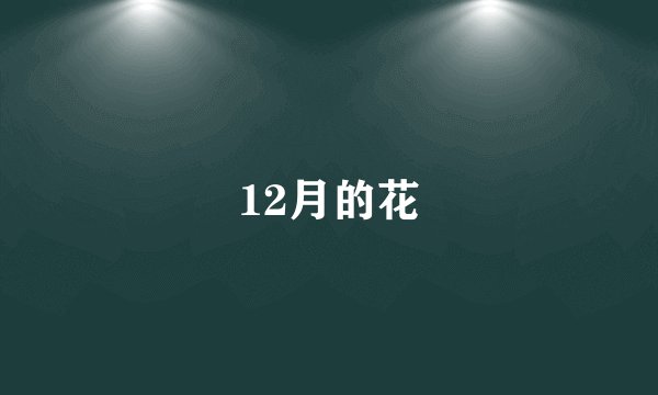 12月的花