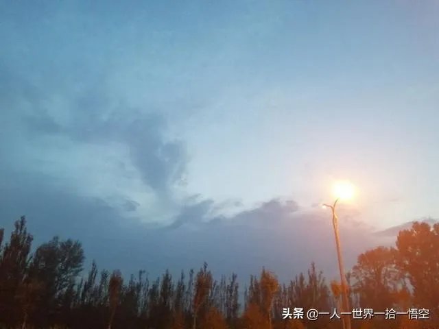 你觉得现在的综艺节目最大的看点在哪里?