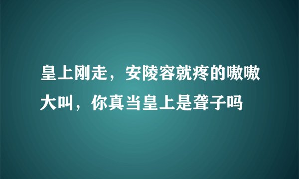 皇上刚走，安陵容就疼的嗷嗷大叫，你真当皇上是聋子吗