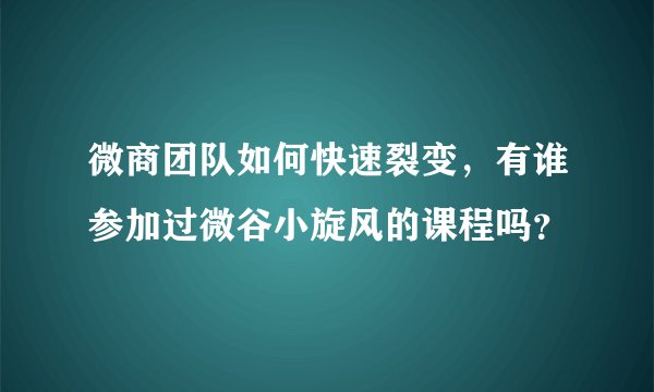 微商团队如何快速裂变，有谁参加过微谷小旋风的课程吗？
