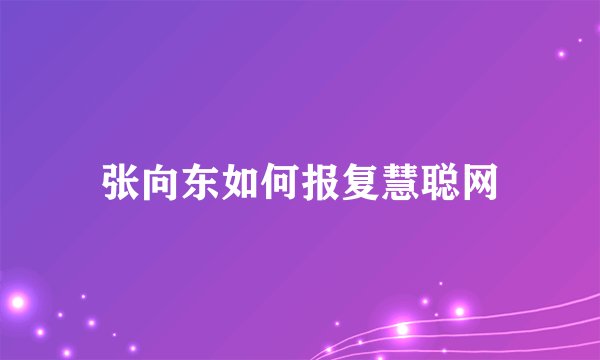 张向东如何报复慧聪网