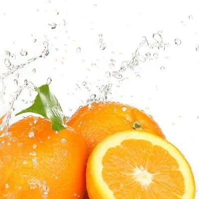 中医食疗与养生保健