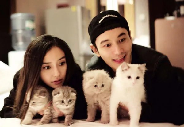 黄晓明和杨颖的感情现在怎么样？