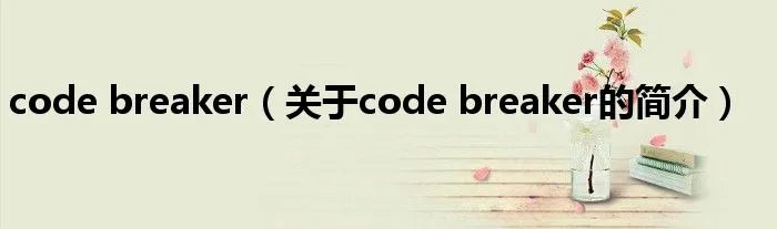 code breaker（关于code breaker的简介）