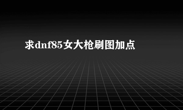 求dnf85女大枪刷图加点