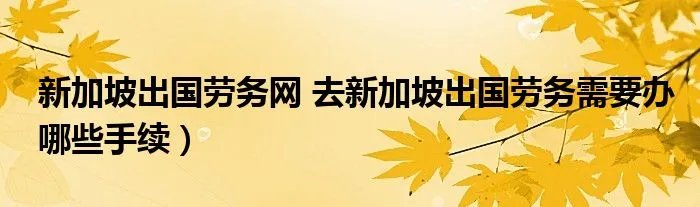 新加坡出国劳务网 去新加坡出国劳务需要办哪些手续）