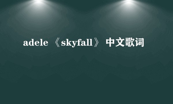 adele 《skyfall》 中文歌词