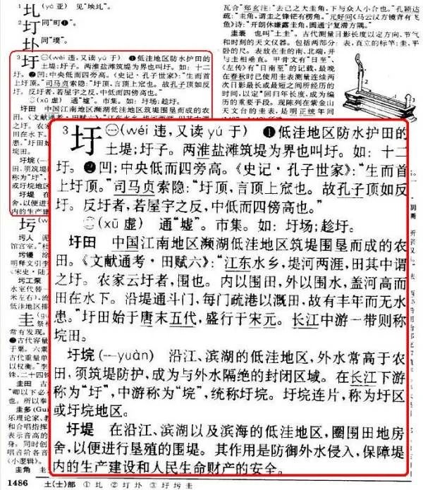 辞海在线查字