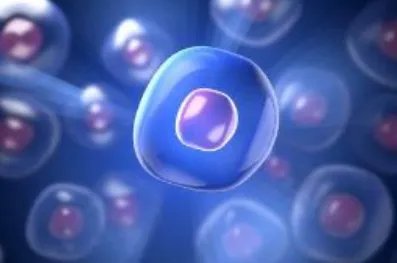 cck8实验原理是什么?