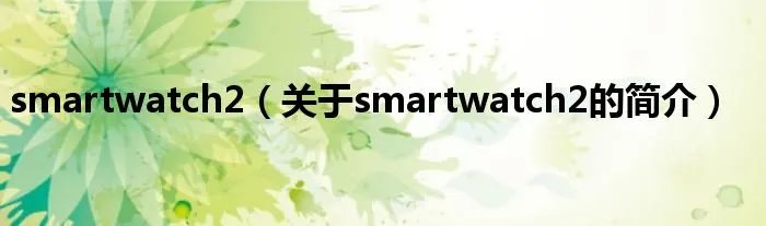 smartwatch2（关于smartwatch2的简介）