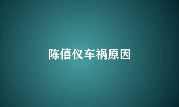 陈僖仪车祸原因