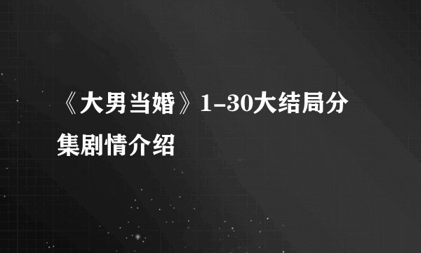 《大男当婚》1-30大结局分集剧情介绍