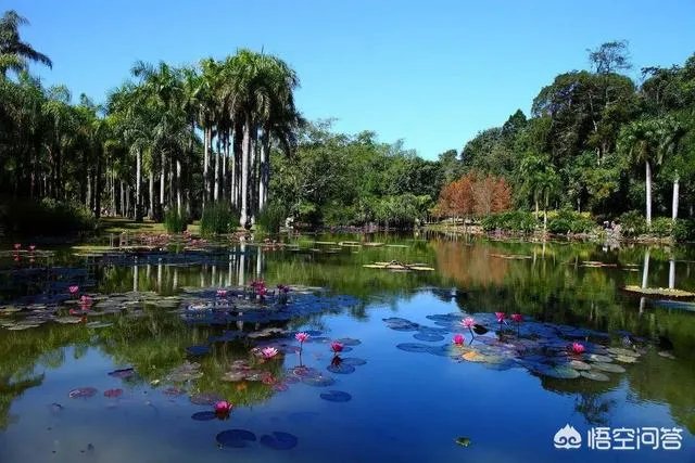 准备一月份从成都出发去西双版纳旅游，大概十天时间，有什么好的路线推荐吗？