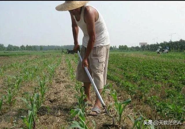 80后的农村光棍太多了，我们村1000人200多个多吗？