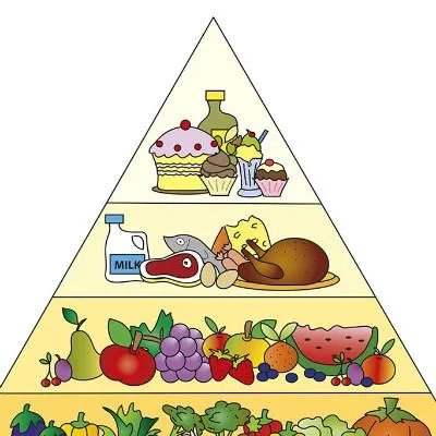 中医食疗与养生保健