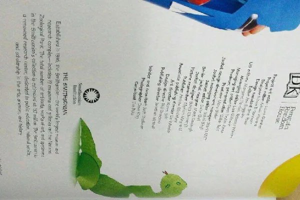 creation和invention的区别